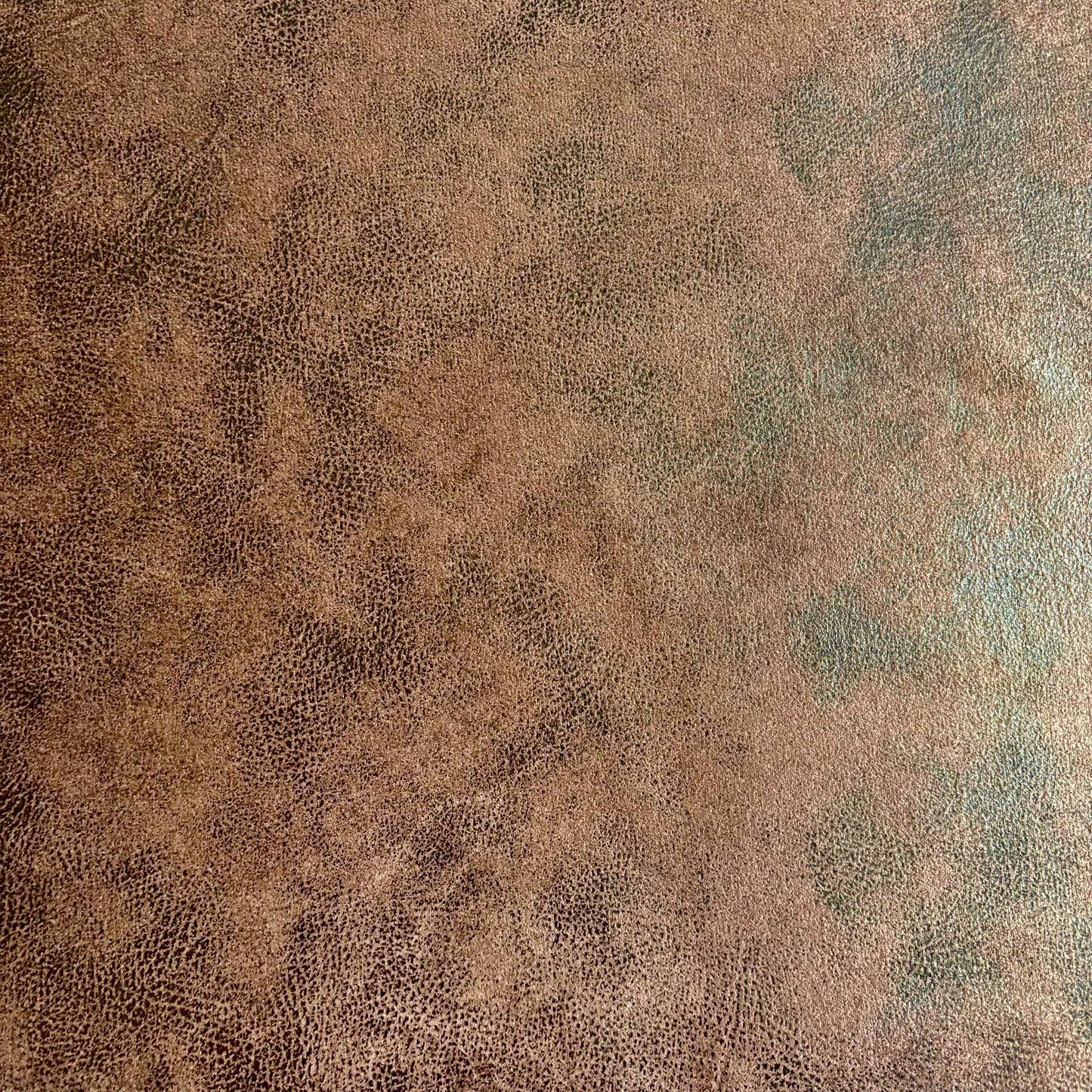 Vero 270 - Flokser Shop