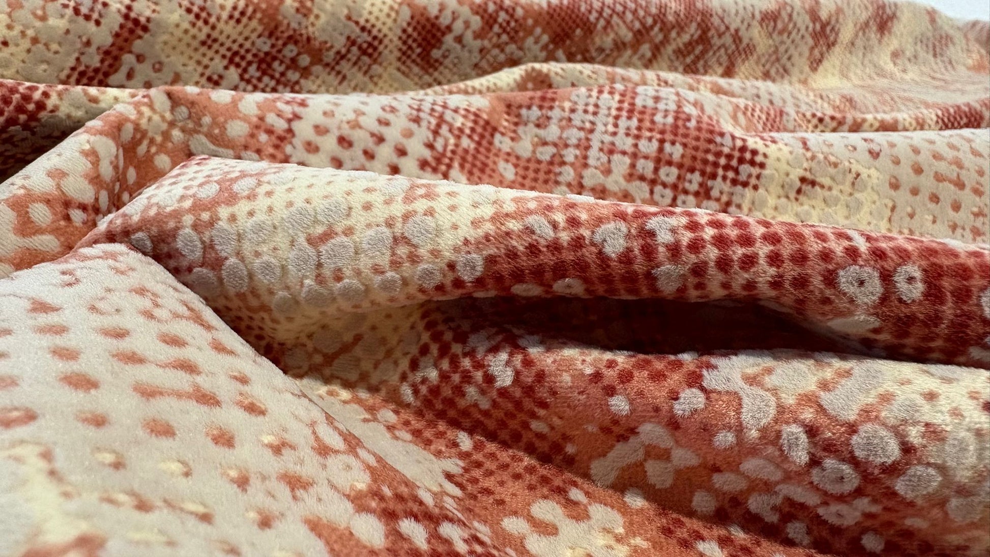 Sandora Rafael 24 - Flokser Shop